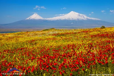 Гора Арарат, Армения