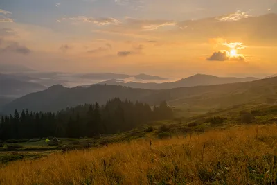 Фотообої Гори вкриті лісом купити на стіну • Еко Шпалери