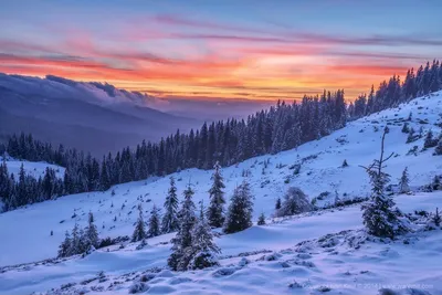 Грампіанські гори — Вікіпедія