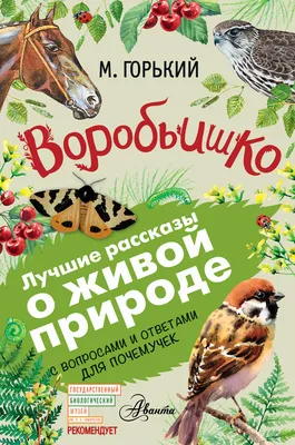 Иллюстрация 1 из 12 для Воробьишко - Максим Горький | Лабиринт - книги.  Источник: АленаТюрина