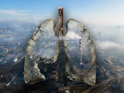 В Атырау из-за загрязнения воздуха жители стали чаще болеть — новости на  сайте Ак Жайык