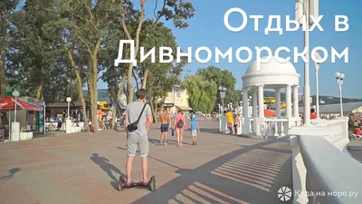 Дивноморское – Дивноморск (16) | Все о городе-курорте Геленджик