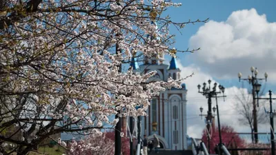 Файл:Хабаровск - город воинской славы.jpg — Википедия