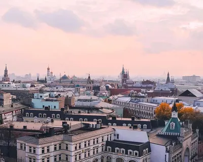 Купить цветы в Москве в м-не Град Московский по улице Радужная, дом 14,  корпус 2 - Низкие цены!