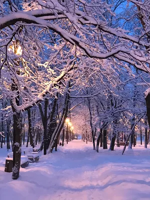 Город в снегу картинки