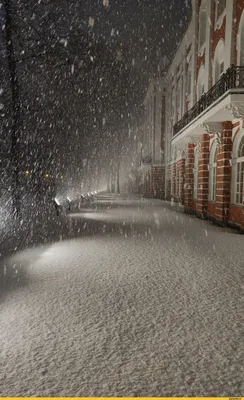 Сильный снегопад в Нью-Йорке: в городе объявлена погодная угроза наивысшего  уровня