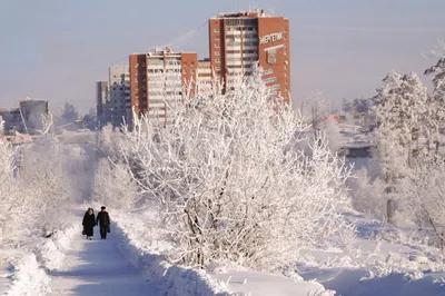 Братск готовится отпраздновать День города — Твой Братск