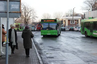 Фестиваль "LookБуг" в Бресте, День города, ул. Советская  года  от ВаськиПилота