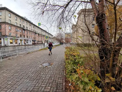 Ровно 55 лет назад на карте города Кемерово появилось новое название -  улица Ноградская