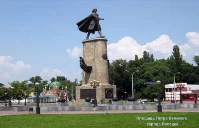 В Общественной палате города Липецка прошел круглый стол по вопросам  озеленения • Российское экологическое общество