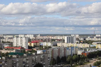 Фото: Городская библиотека № 12 города Нижневартовска, библиотека, ул.  Мира, 3, Нижневартовск — Яндекс Карты