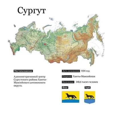 Карта г. Сургут (в границах города Сургут)