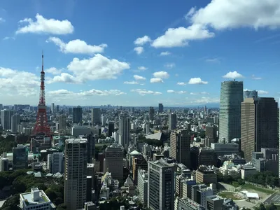 Токио, цены на 2024 год. Подбор тура
