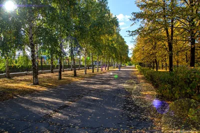 Отдых в городе Тольятти - путеводитель для самостоятельных туристов