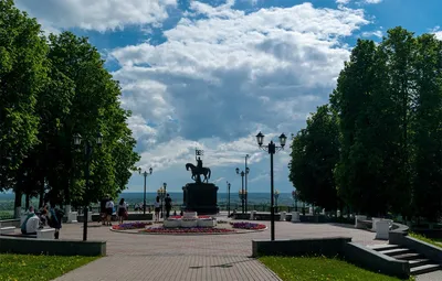 Останется ли исторический центр города Владимира без деревьев? - новости  Владимирской области