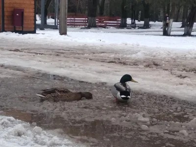 День солидарности в борьбе с терроризмом. - Тверской городской  музейно-выставочный центр