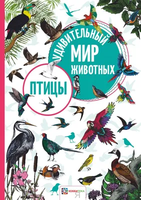 Июньское путешествие-2021. Тверь. Вечер и утро на Волге. | Прогулки по  городу