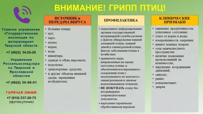 Определитель птиц Камчатки и Командорских островов