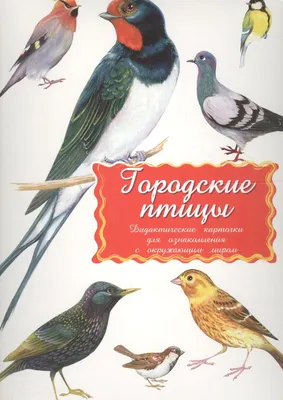 Дидактические карточки Городские птицы - купить книгу с доставкой в  интернет-магазине «Читай-город».