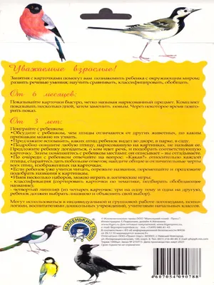 Скворец подшофе. Уральский орнитолог – о том, как помочь птицам в холода |  Экология | ОБЩЕСТВО | АиФ Урал