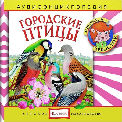 Хищные птицы Москвы - Агентство городских новостей «Москва» -  информационное агентство