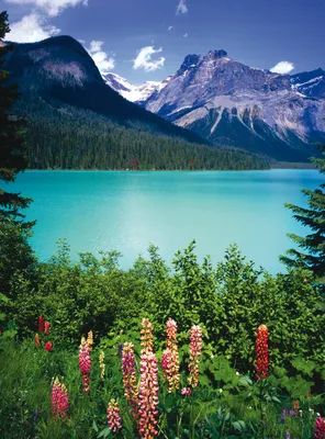 Фотографии США Glacier National Park Горы Природа Озеро 6144x3072