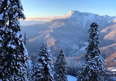 В горах Сочи выпал снег | Живая Кубань