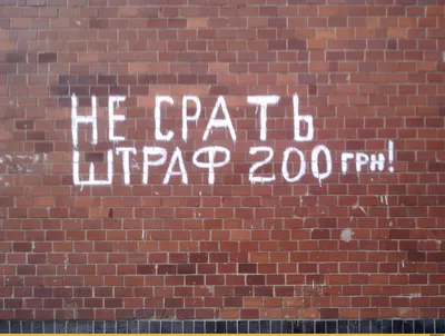 говно фото / смешные картинки и другие приколы: комиксы, гиф анимация,  видео, лучший интеллектуальный юмор.