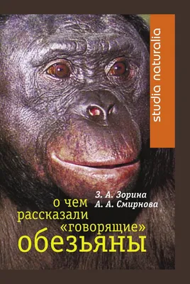 Интерактивная выставка в защиту детей «Говорящие предметы» | Такие Дела