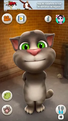 Мягкая игрушка Толкинг Том из игры Говорящий кот Том погоня героев Talking  Tom Hero Dash. - купить с доставкой по выгодным ценам в интернет-магазине  OZON (583529219)