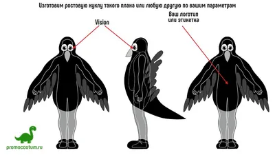 Врановые (основные отличия): грач, ворон, чёрная, серая и большеклювая  ворона | Siberian Birds Guide | Дзен