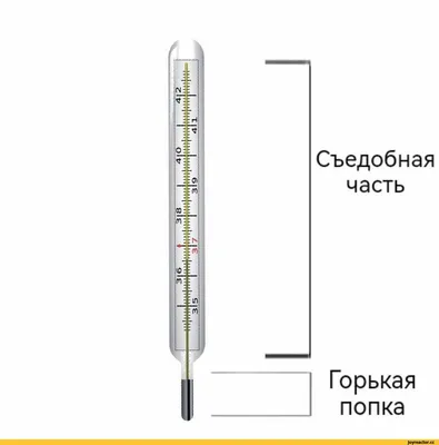 8 градусников: электронные, ртутные, модные. Кто меряет точнее