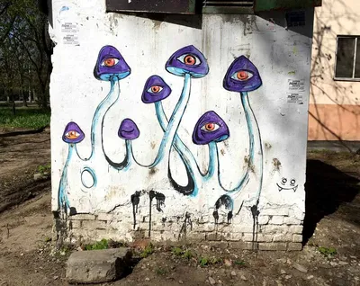 Михаил Строганов «Сад на помойке», или Любовное граффити как публичное  высказывание. Часть 2 - Labyrinth