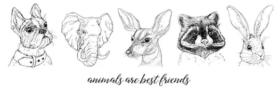 Графические рисунки животные | лучшее