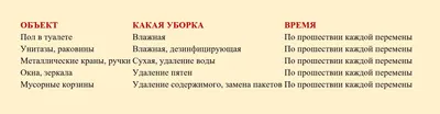 Нужно ли мыть туалет за другими и так ли все страшно: график уборки в моей  коммуналке | Игорь Кретов | Дзен