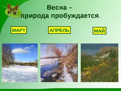 Грамматика в картинках. Ударение в словах. Наглядно-дидактическое пособие —  купить книги на русском языке в BooksMe в Испании