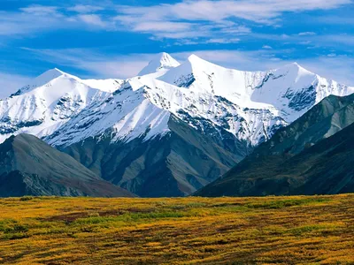 Даррен Аппиаги