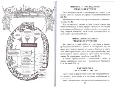 Характеристики модели "Греховные страсти и борьба с ними" —  Нехудожественная литература — Яндекс Маркет