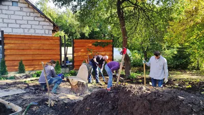 Раскраска Капуста на грядке | Раскраски . Прописи и загадки для детей