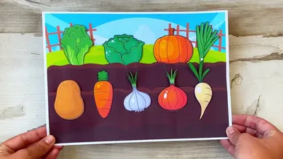 Иллюстрация 1 из 23 для Овощи и фрукты. Развивающая книга с наклейками для  детей от 2