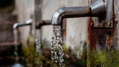 Почему нужно пить чистую воду и не нужно пить грязную? | GETWOLA | Дзен