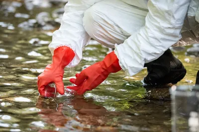 Грязная вода в новостройках Баку: ЖСК годами не промывают резервуары -  , Sputnik Азербайджан