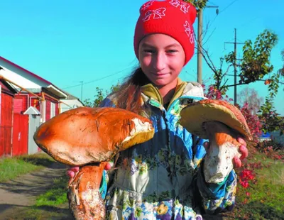 Мастер-класс для родителей с детьми с применением круп «Гриб-боровик» (8  фото). Воспитателям детских садов, школьным учителям и педагогам - Маам.ру