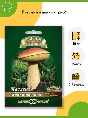 Гриб Масленок обыкновенный (1 уп - 15 мл). Мицелий грибов. Агрофирма  "Гавриш" - купить по выгодным ценам в интернет-магазине OZOZN (981270305)