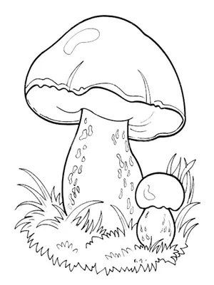 Раскраска Несъедобные грибы - поганки распечатать или скачать