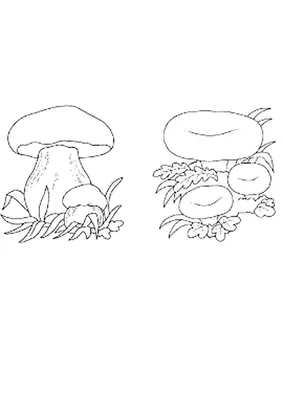 Дедушка гриб — раскраска для детей. Распечатать бесплатно.