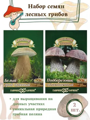 Набор семян Мицелий грибов: Белый гриб дубовый, Подберезовик обыкновенный  Набор: 2 пакетика - купить по выгодным ценам в интернет-магазине OZOZN  (888498164)