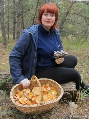 Грибы Лесные Рыжики - «Лесной рыжик - царский гриб. Где и как искать рыжики?  Засолка рыжиков. Суп и жареные с картошкой рыжики. » | отзывы