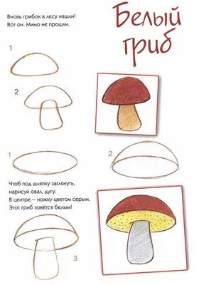 Гриб — раскраска для детей. Распечатать бесплатно.
