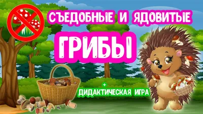 Лексическая тема "ГРИБЫ" Рекомендации родителям. | Логопед Наталья Екб |  Дзен